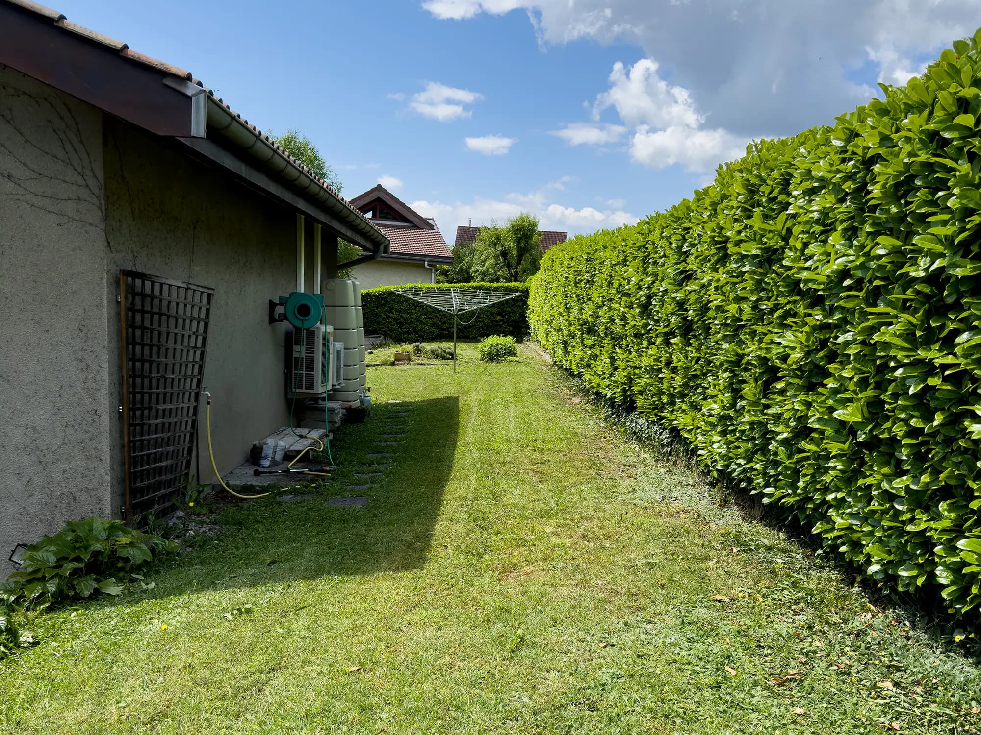 Haie verte taillée au-dessus d’un passage de pelouse
