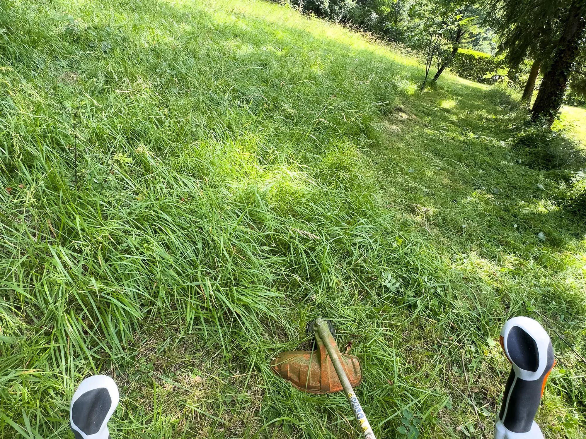 Débroussaillage d’une zone herbeuse avec une partie du terrain déjà coupée